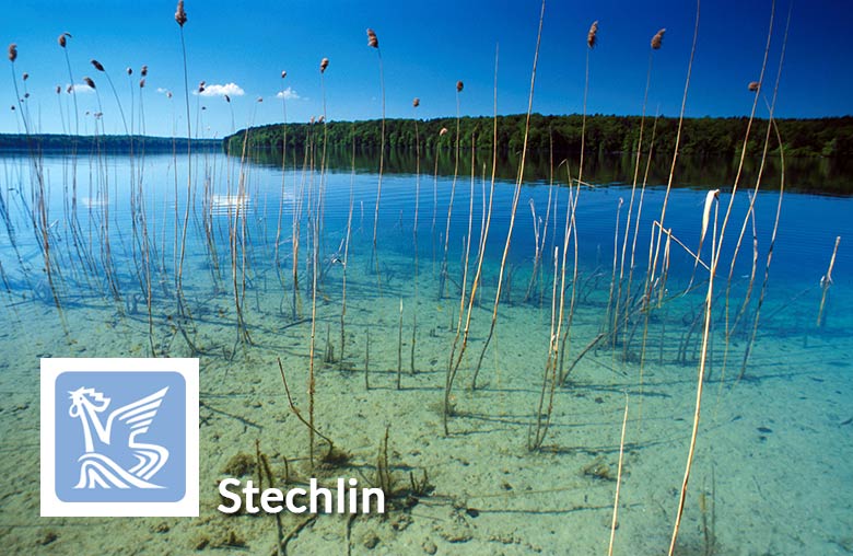 Stechlin